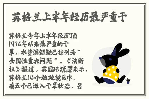 国产老妇伦国产**老妇高清97